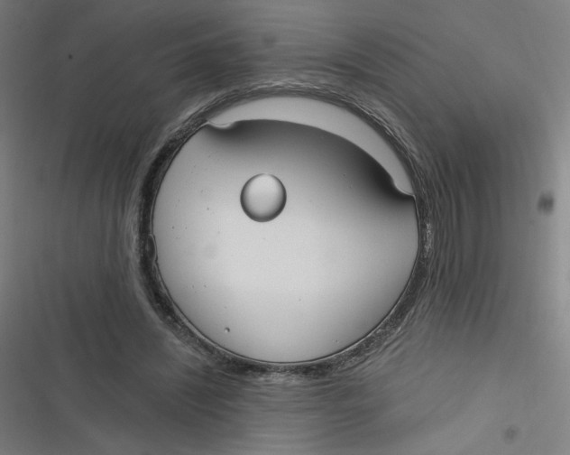 X0000116790444201001081317