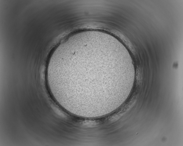 X0000116790445201001081317