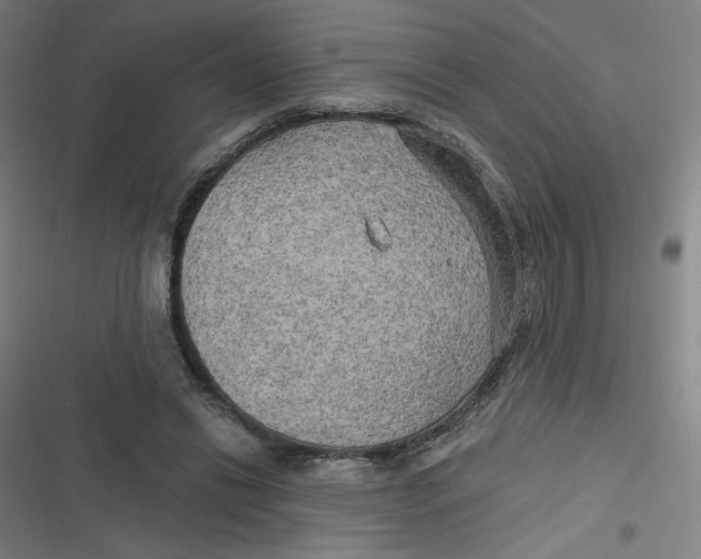 X0000116790446201001081317