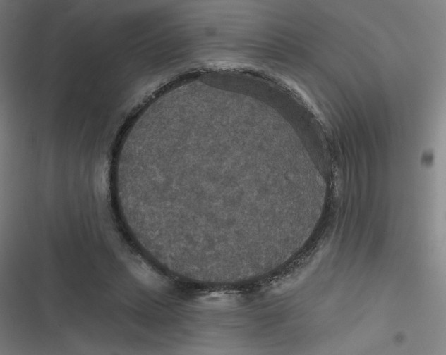 X0000116790447201001081317