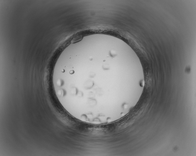 X0000116790448201001081317