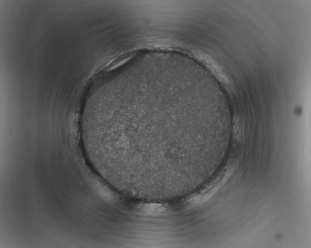 X0000116790449201001081317