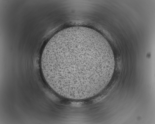 X0000116790450201001081317