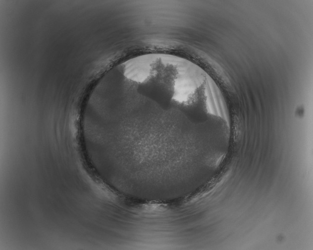 X0000116790451201001081317