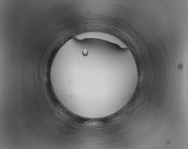 X0000116790452201001081317