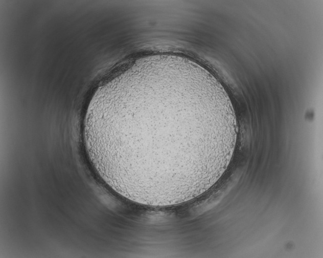 X0000116790453201001081317