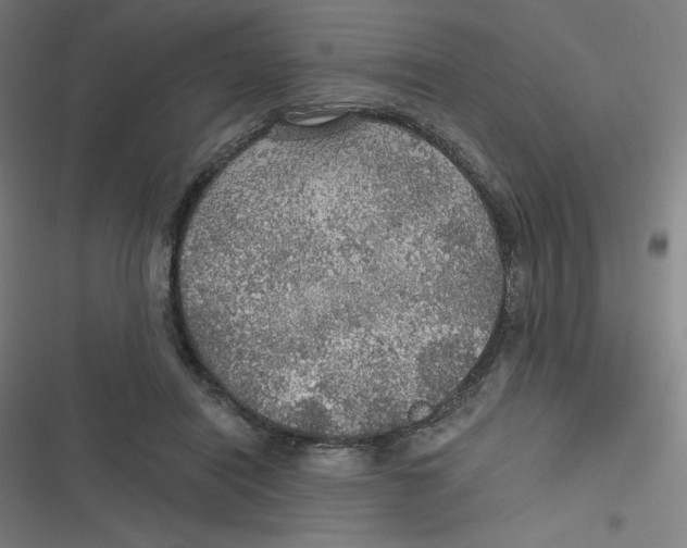 X0000116790454201001081317