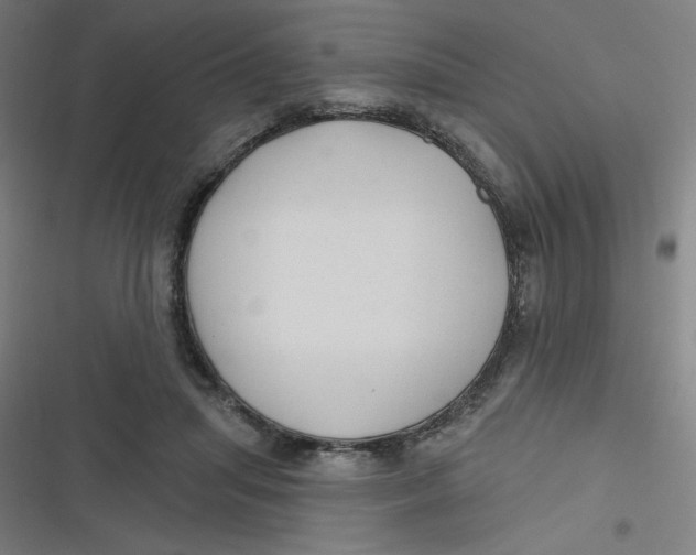 X0000116790455201001081317