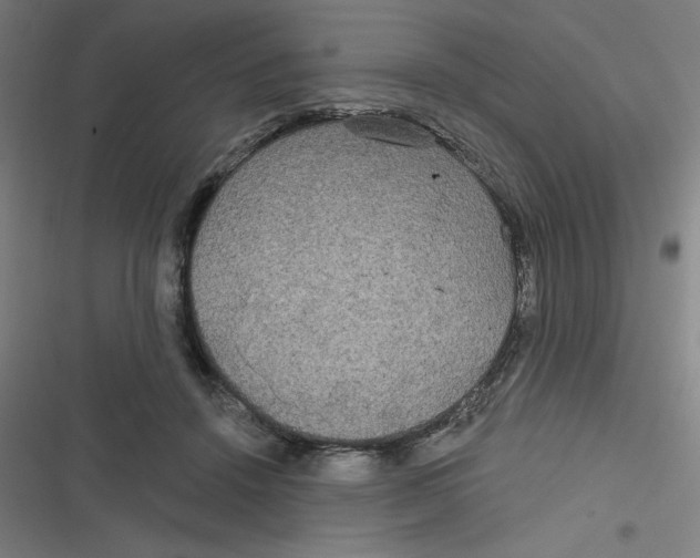 X0000116790456201001081317