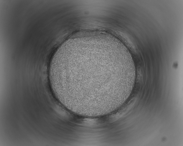 X0000116790457201001081317