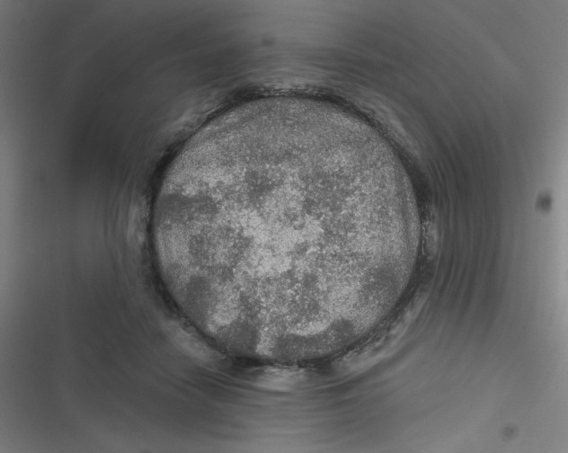 X0000116790458201001081317