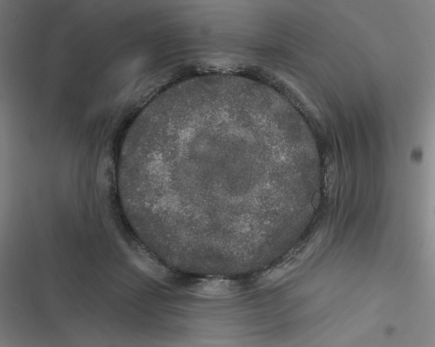 X0000116790459201001081317