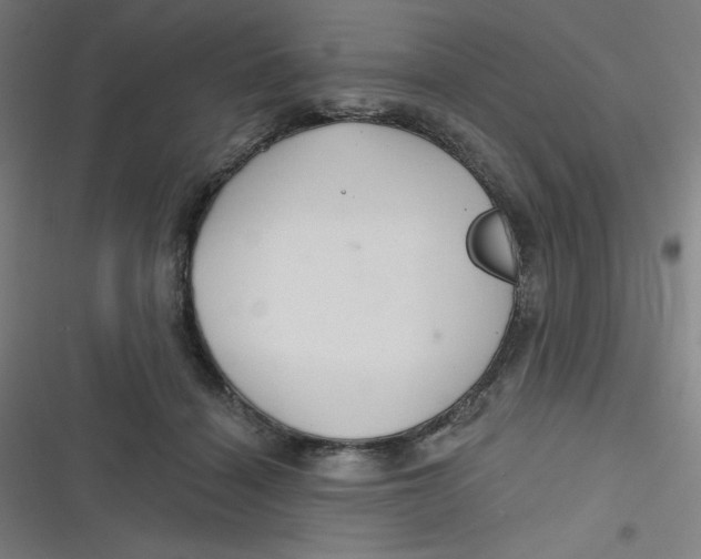 X0000116790460201001081317