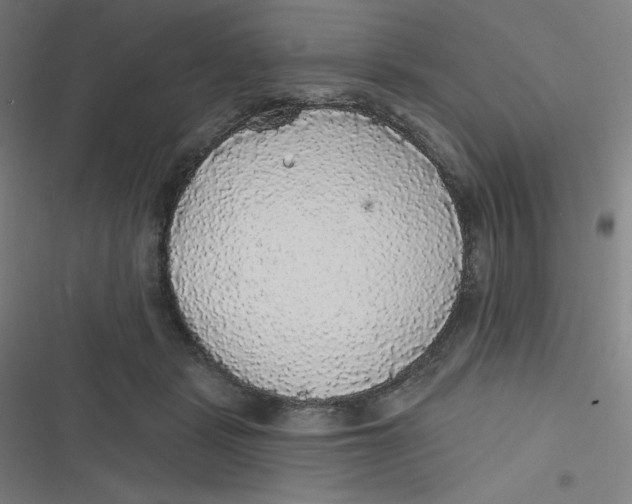 X0000116790461201001081317