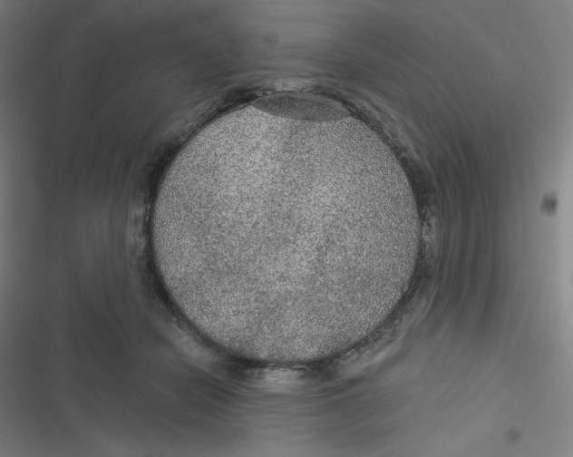 X0000116790462201001081317