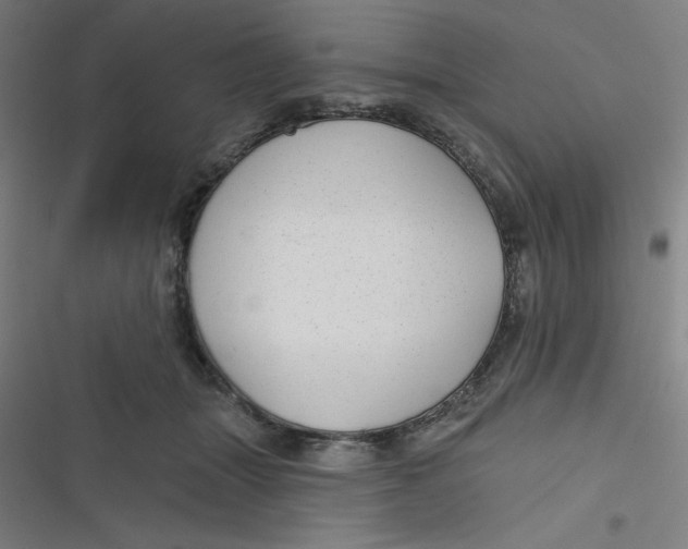 X0000116790463201001081317