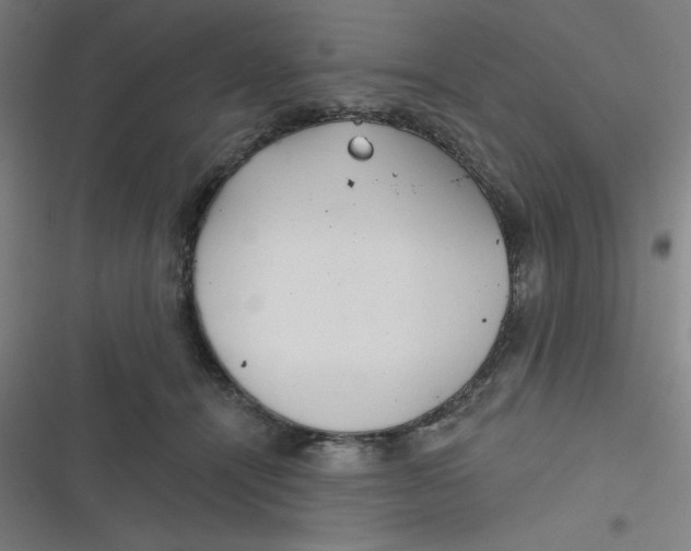 X0000116790464201001081317