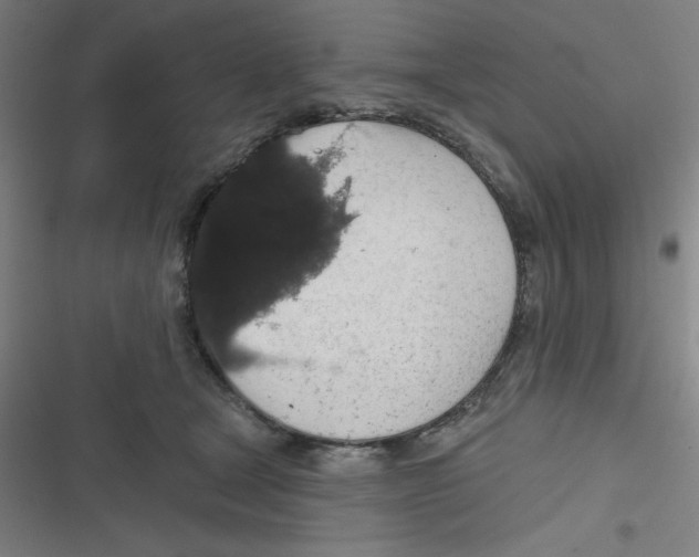 X0000116790465201001081317