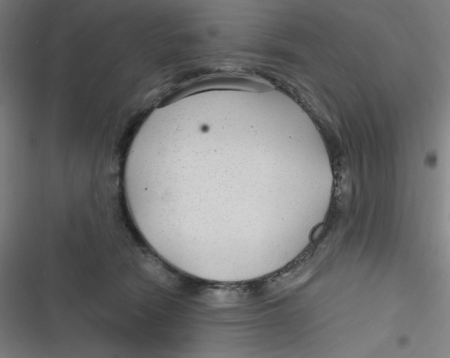 X0000116790466201001081317