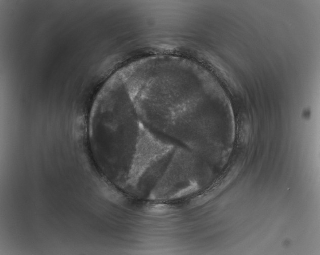 X0000116790467201001081317