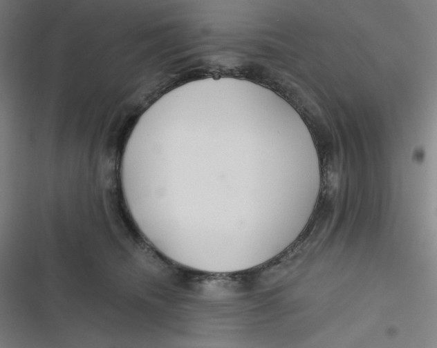 X0000116790468201001081317