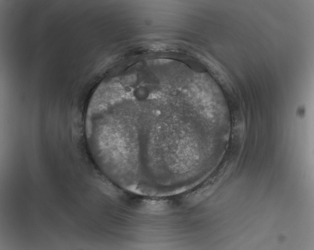 X0000116790469201001081317