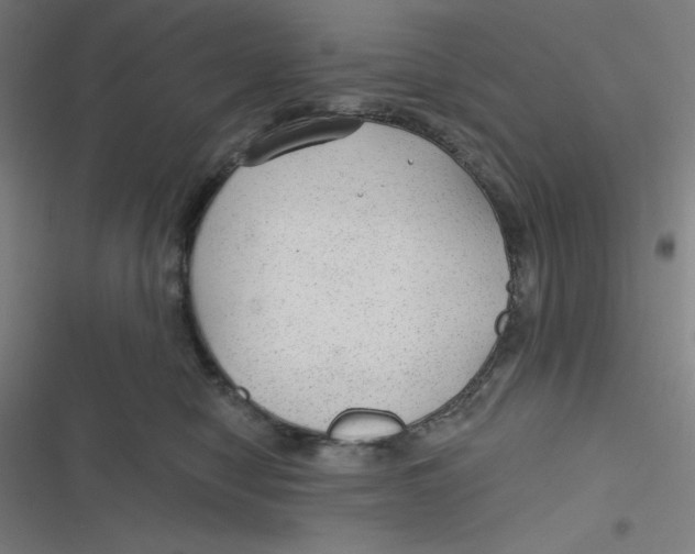 X0000116790470201001081317