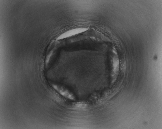 X0000116790471201001081317