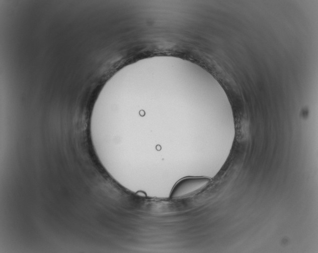 X0000116790472201001081317