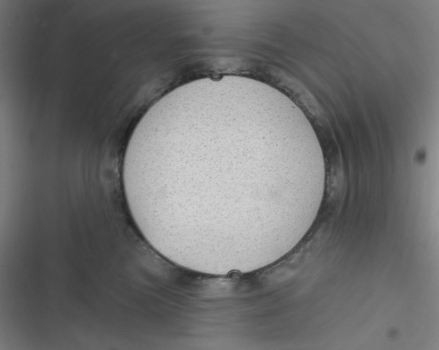 X0000116790473201001081317