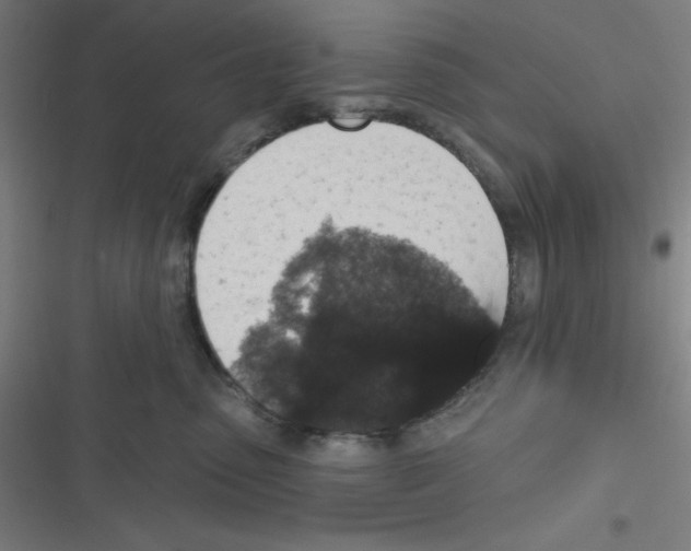 X0000116790475201001081317