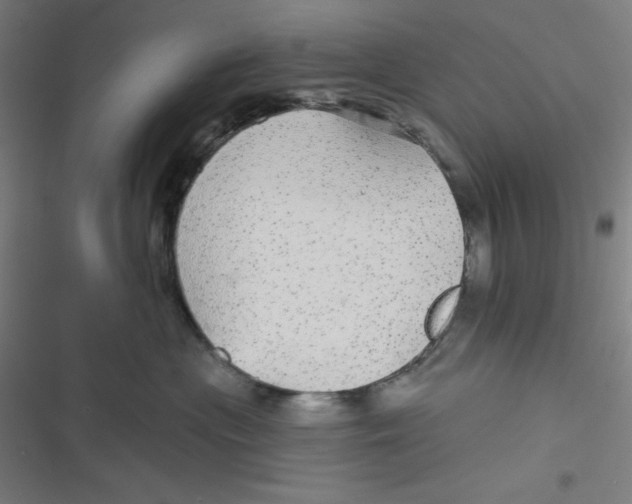 X0000116790477201001081317