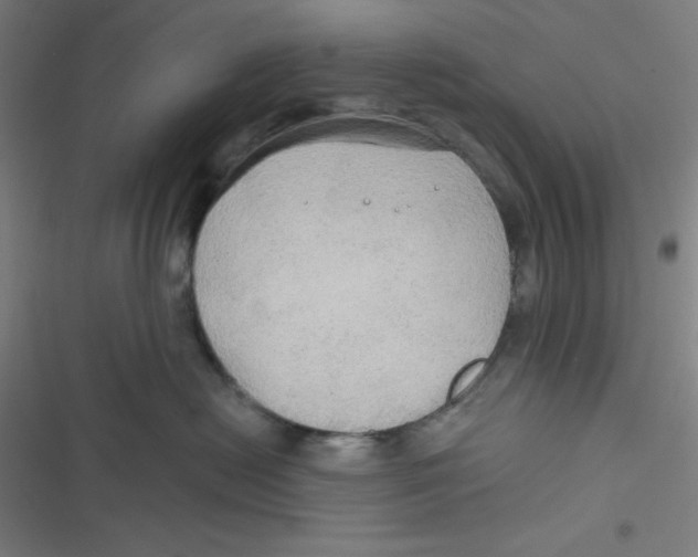 X0000116790478201001081317