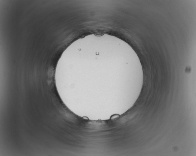 X0000116790480201001081317