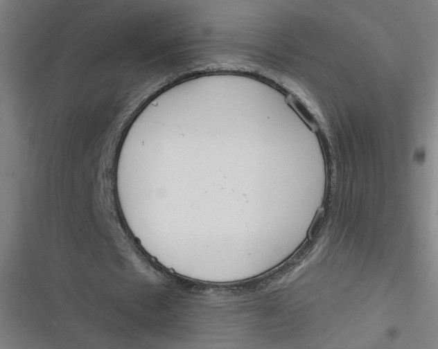 X0000116790481201001081317