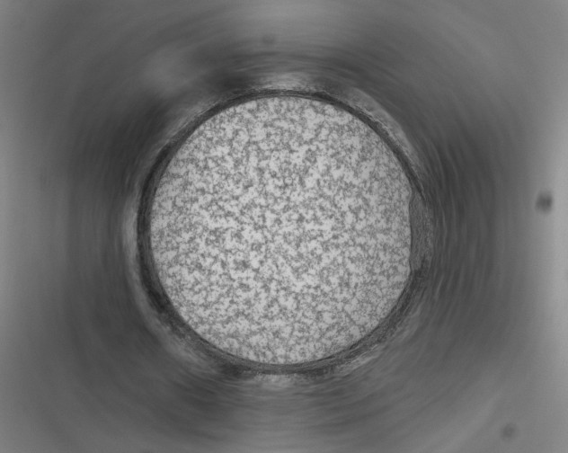 X0000116790482201001081317