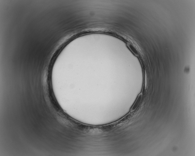 X0000116790483201001081317