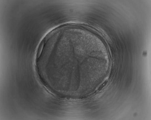 X0000116790484201001081316