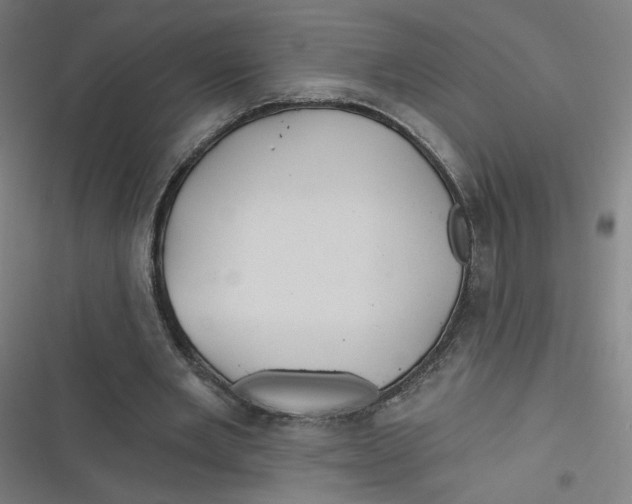 X0000116790485201001081316