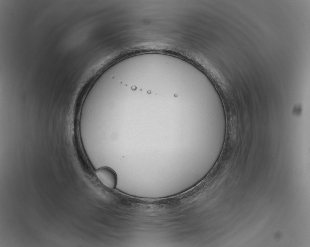 X0000116790486201001081316