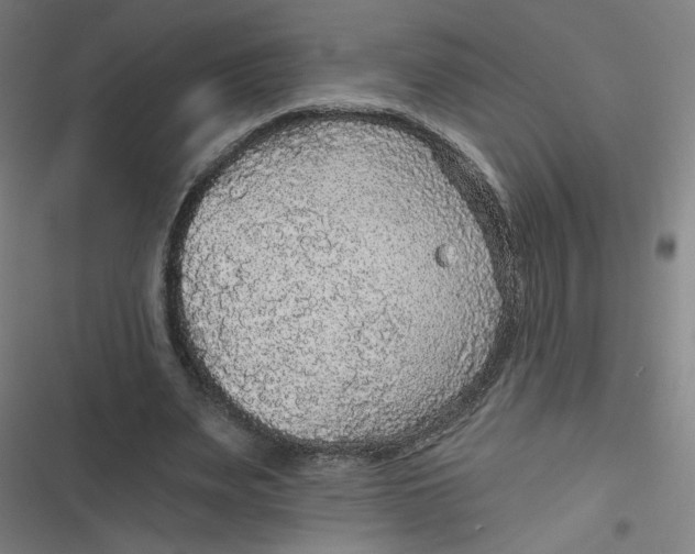 X0000116790487201001081316