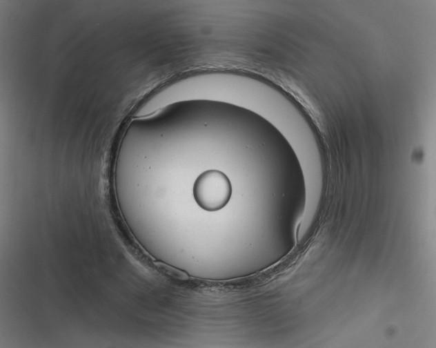 X0000116790489201001081316