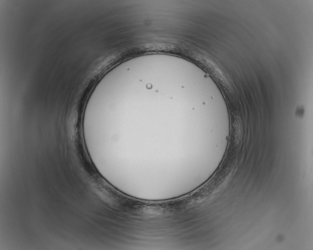 X0000116790490201001081316