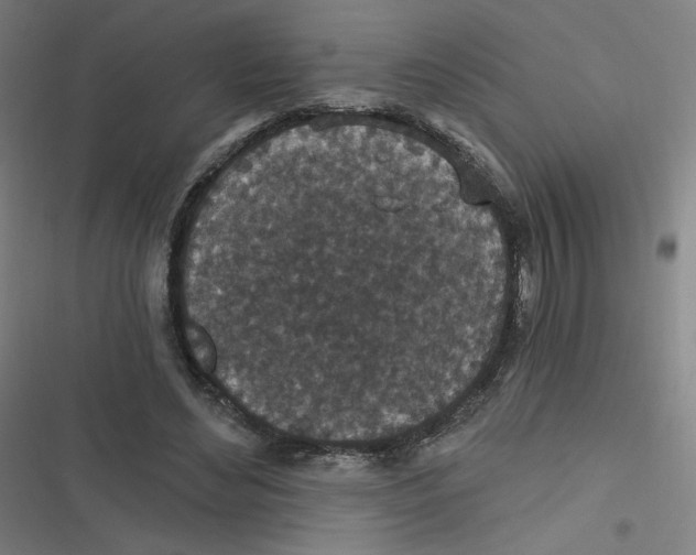 X0000116790492201001081316