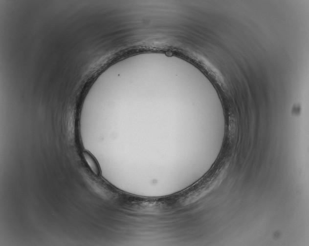 X0000116790493201001081316