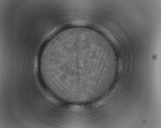 X0000116790494201001081316