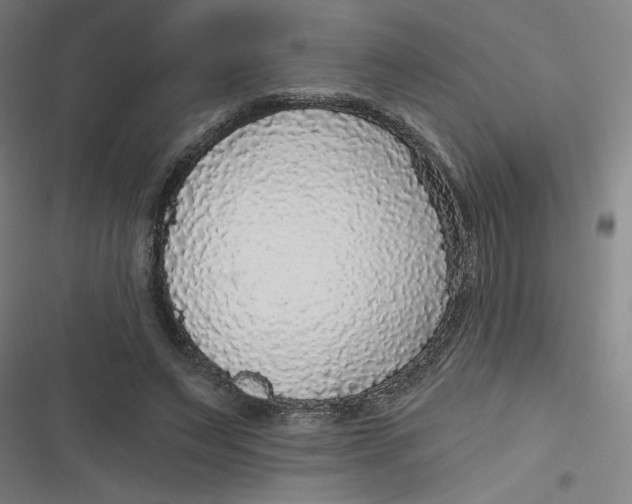 X0000116790495201001081316