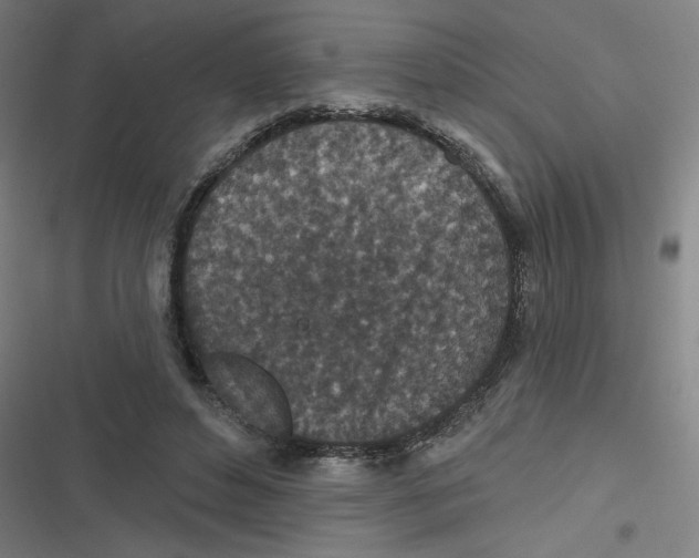 X0000116790496201001081316