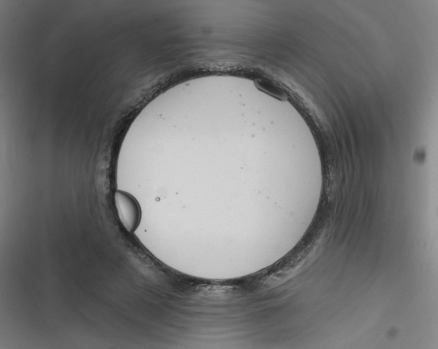 X0000116790497201001081316