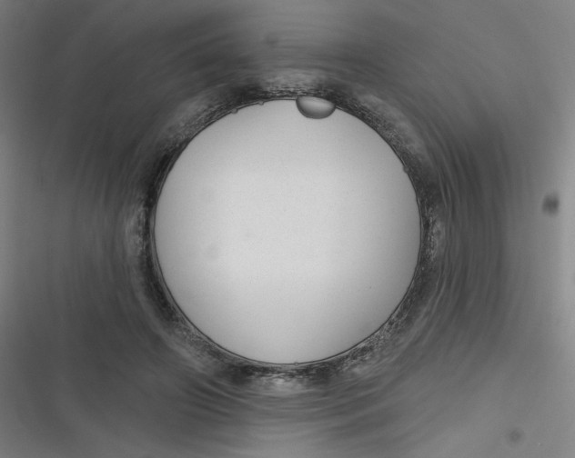 X0000116790498201001081316